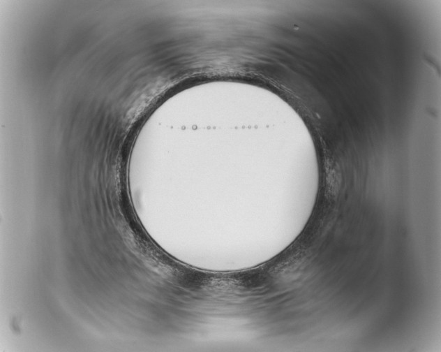 X0000103940487200810031325