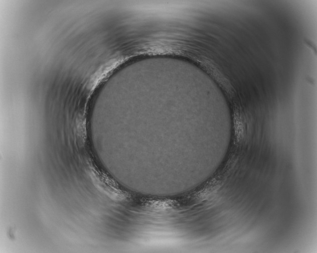 X0000103940488200810031325