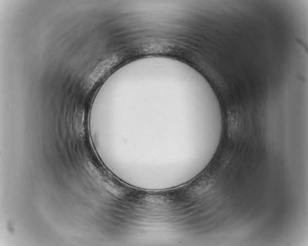 X0000103940490200810031325