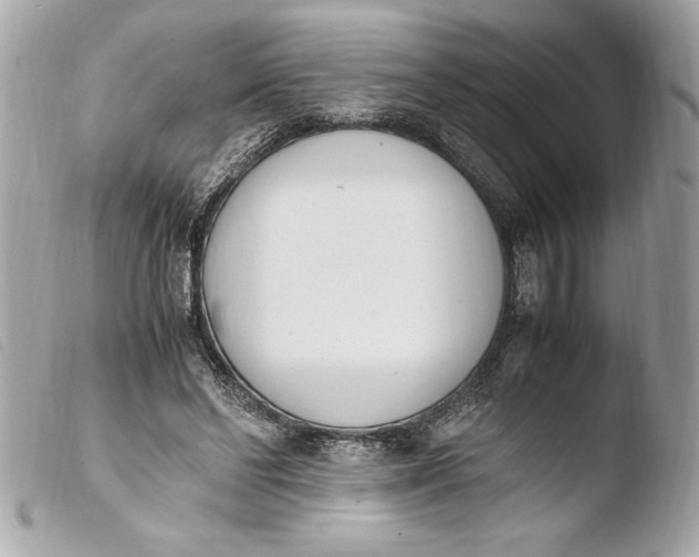 X0000103940494200810031325