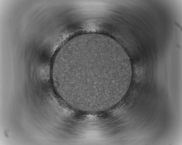 X0000103940496200810031325