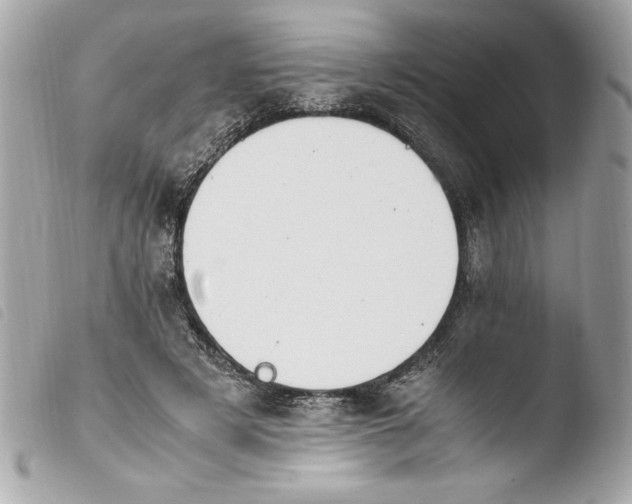 X0000103940497200810031325