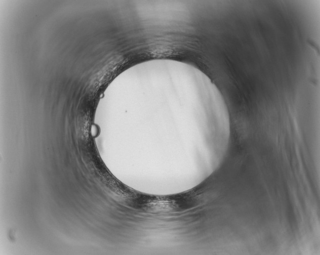 X0000103940499200810031325