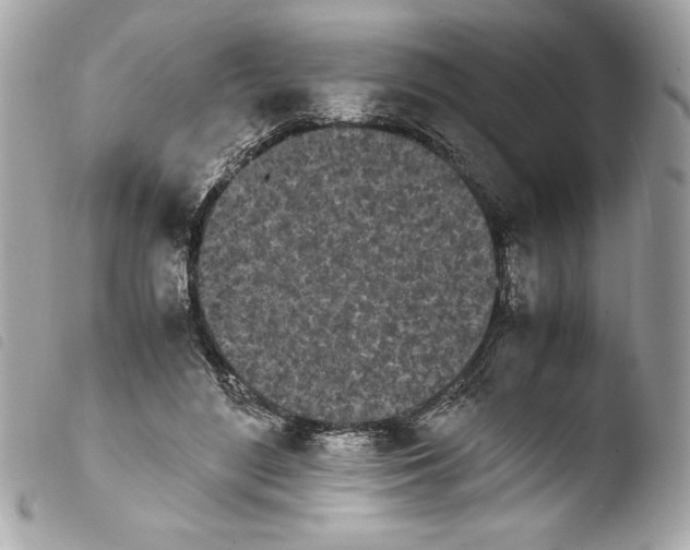 X0000103940500200810031325