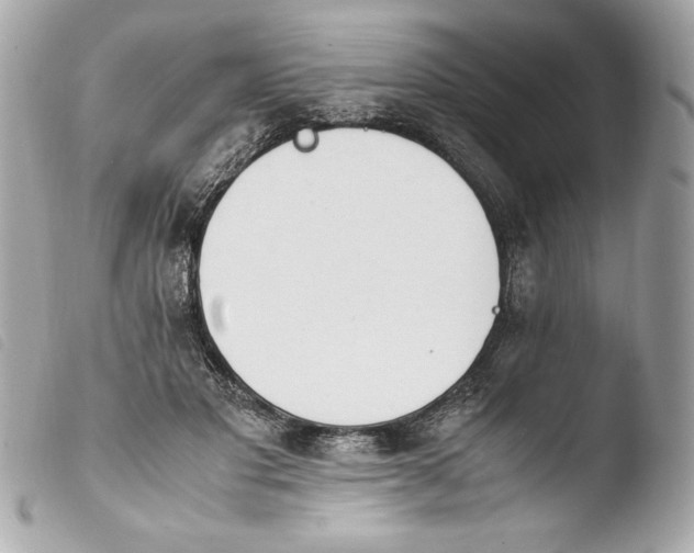 X0000103940501200810031325