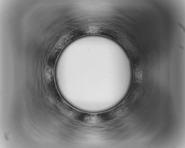 X0000103940503200810031325