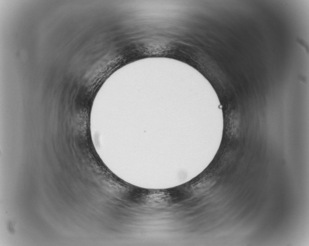 X0000103940505200810031325