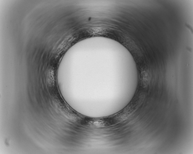 X0000103940506200810031325