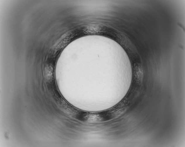 X0000103940507200810031325