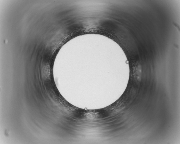 X0000103940508200810031325