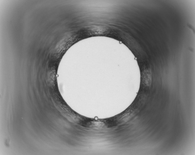 X0000103940509200810031325