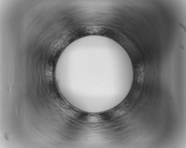 X0000103940510200810031325