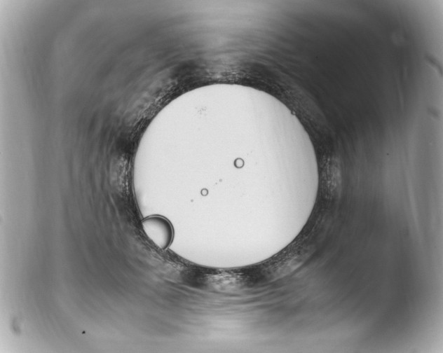 X0000103940511200810031325