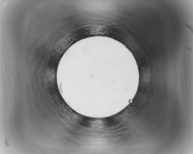 X0000103940513200810031325