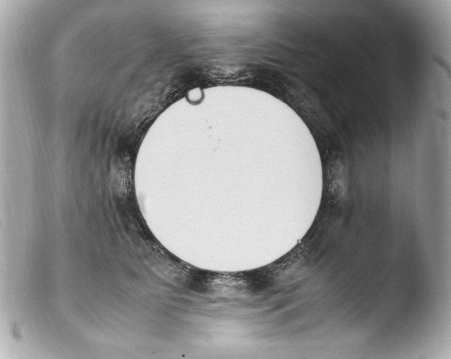 X0000103940515200810031325