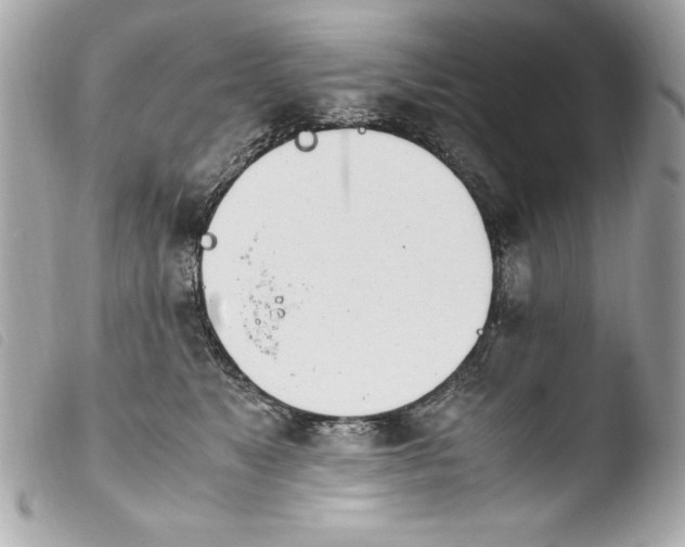 X0000103940517200810031325