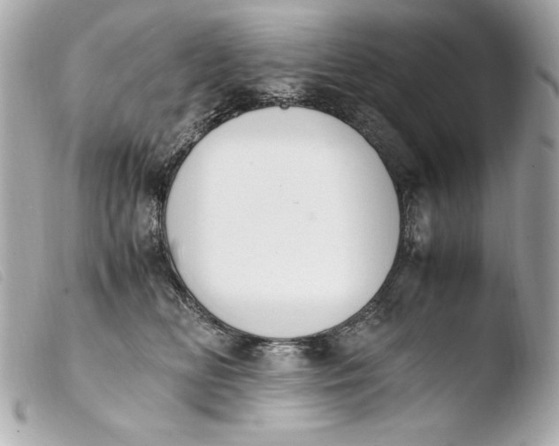 X0000103940518200810031325