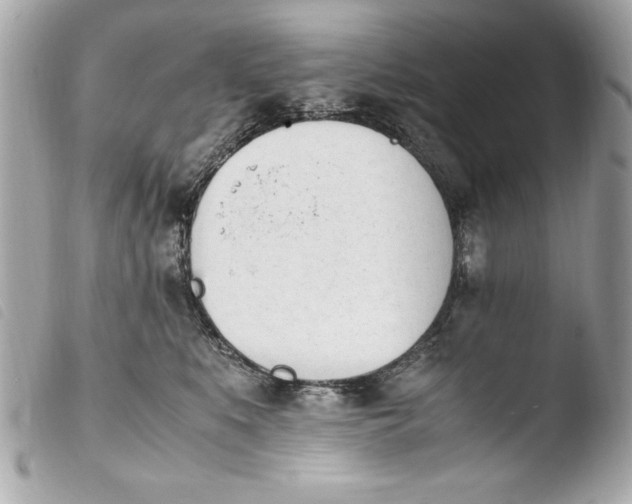 X0000103940519200810031325