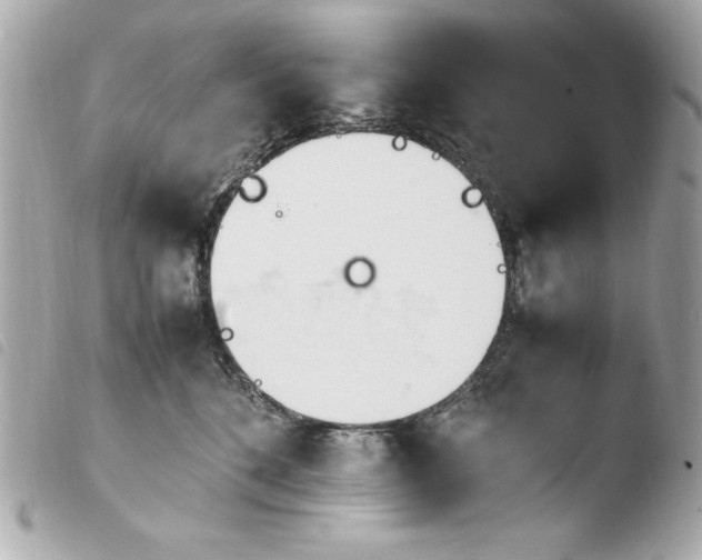 X0000103940520200810031325