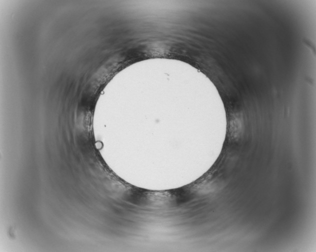 X0000103940525200810031325