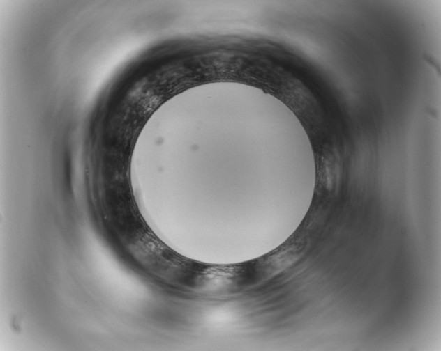 X0000103940526200810031325