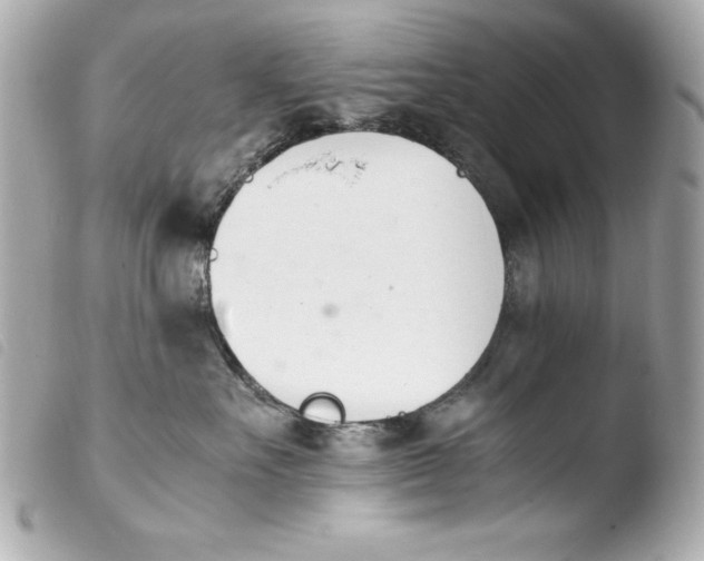 X0000103940527200810031325