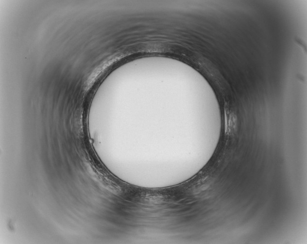 X0000103940531200810031324