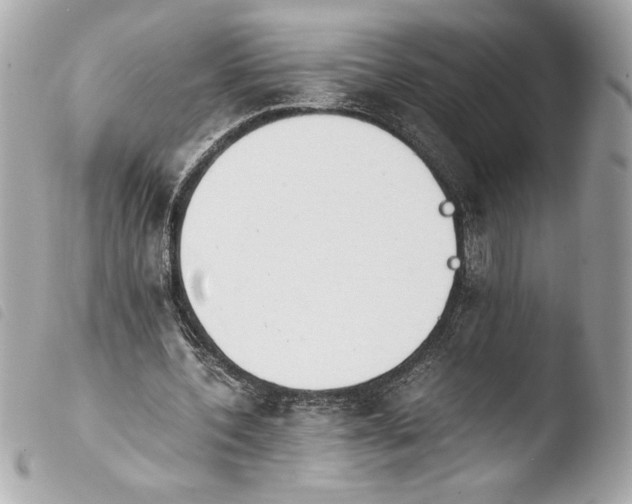 X0000103940532200810031324