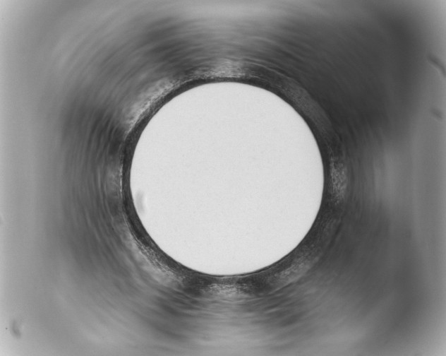 X0000103940534200810031324