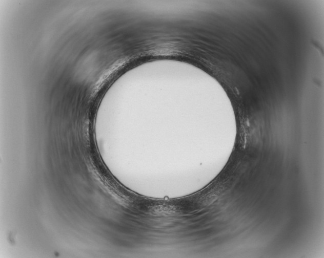 X0000103940535200810031324