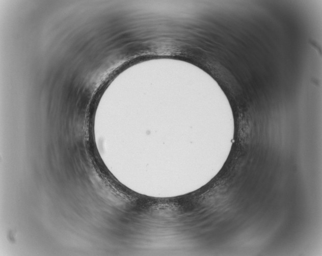 X0000103940536200810031324