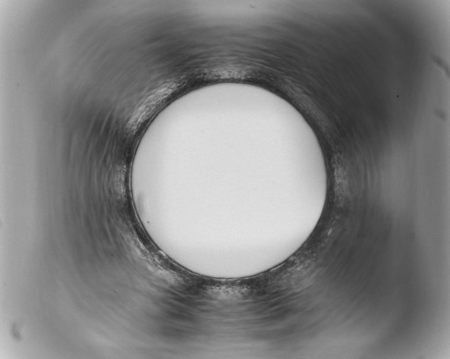 X0000103940537200810031324