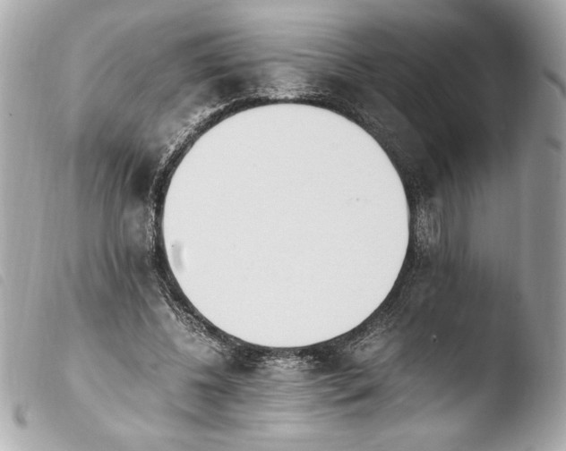 X0000103940540200810031324