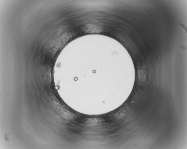 X0000103940541200810031324