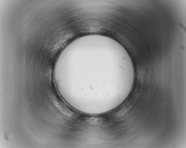 X0000103940542200810031324