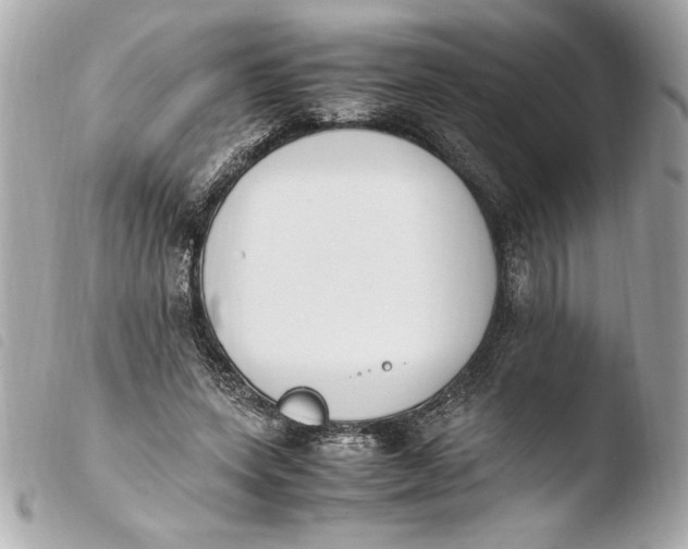 X0000103940543200810031324