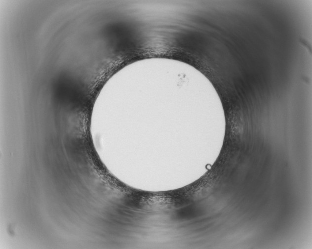 X0000103940546200810031324