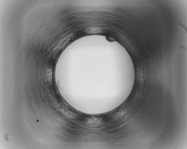 X0000103940549200810031324