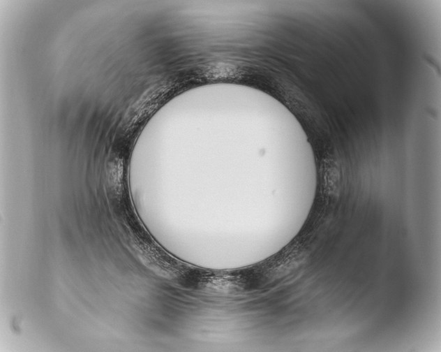 X0000103940550200810031324