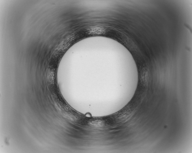 X0000103940551200810031324