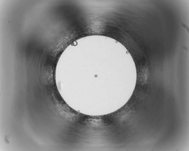 X0000103940552200810031324