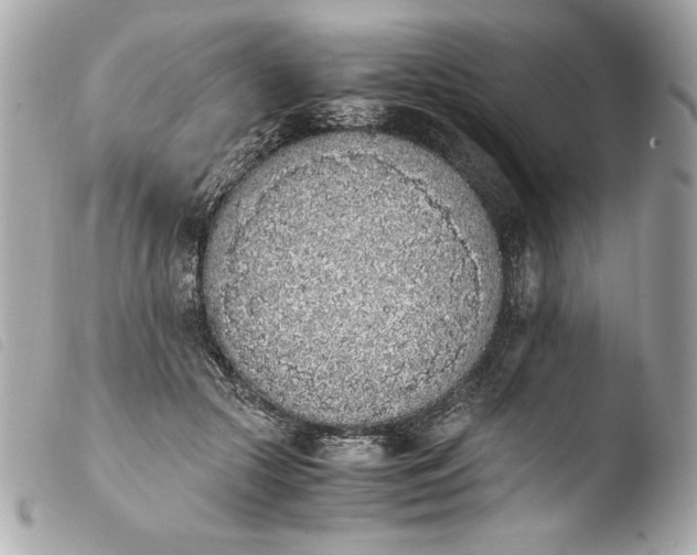 X0000103940553200810031325