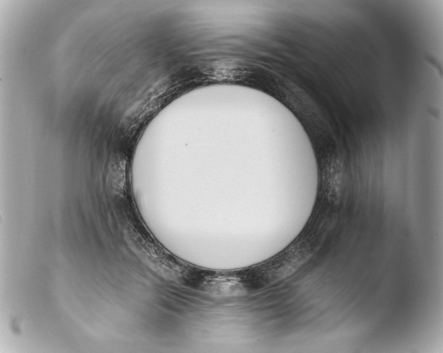 X0000103940554200810031325