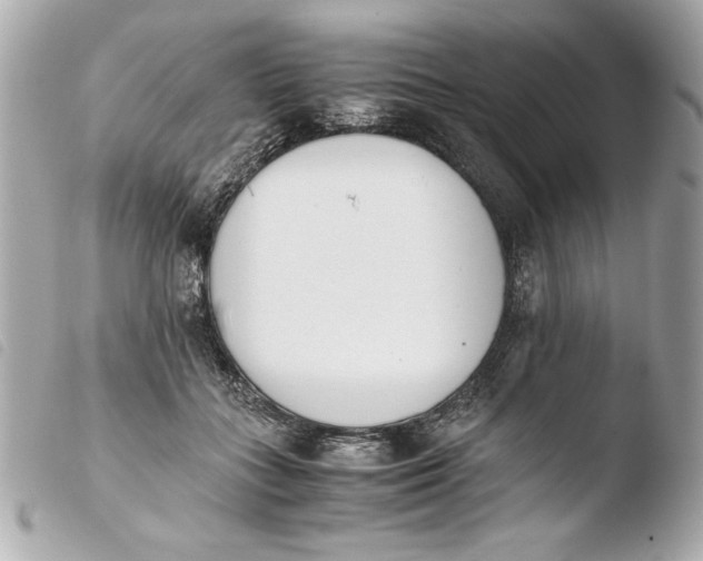 X0000103940555200810031325