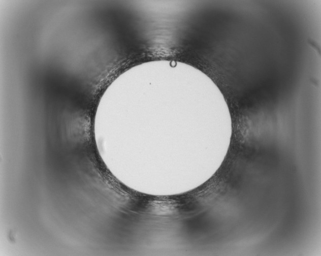 X0000103940556200810031325