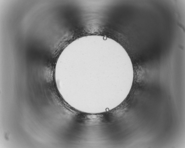 X0000103940558200810031325