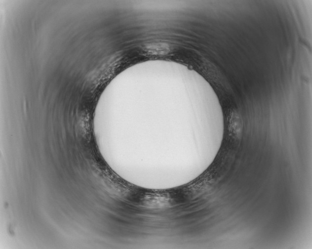 X0000103940559200810031325