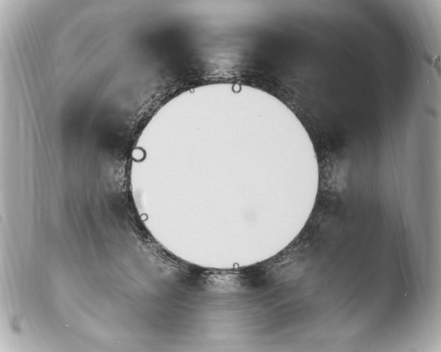 X0000103940560200810031325