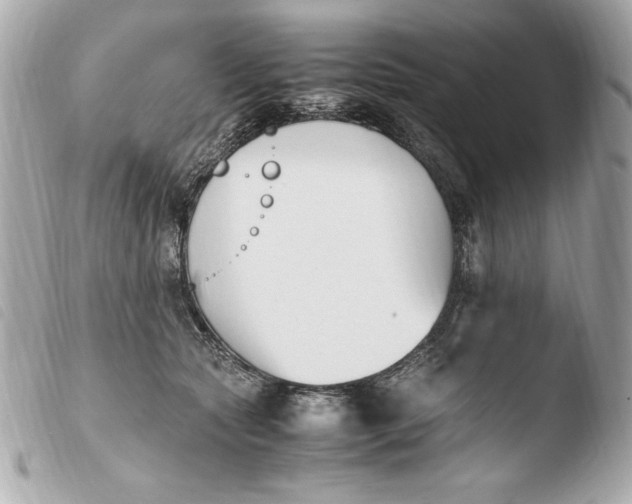 X0000103940561200810031325