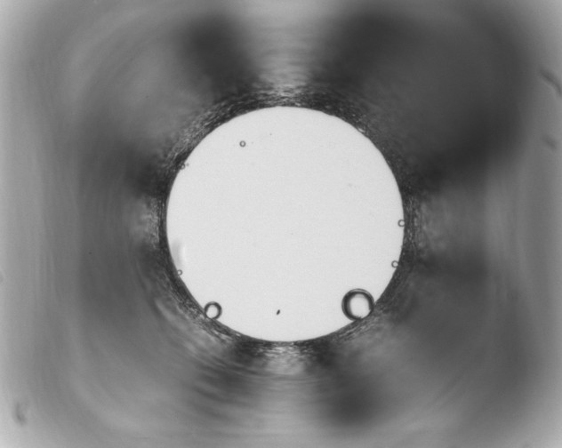 X0000103940562200810031325